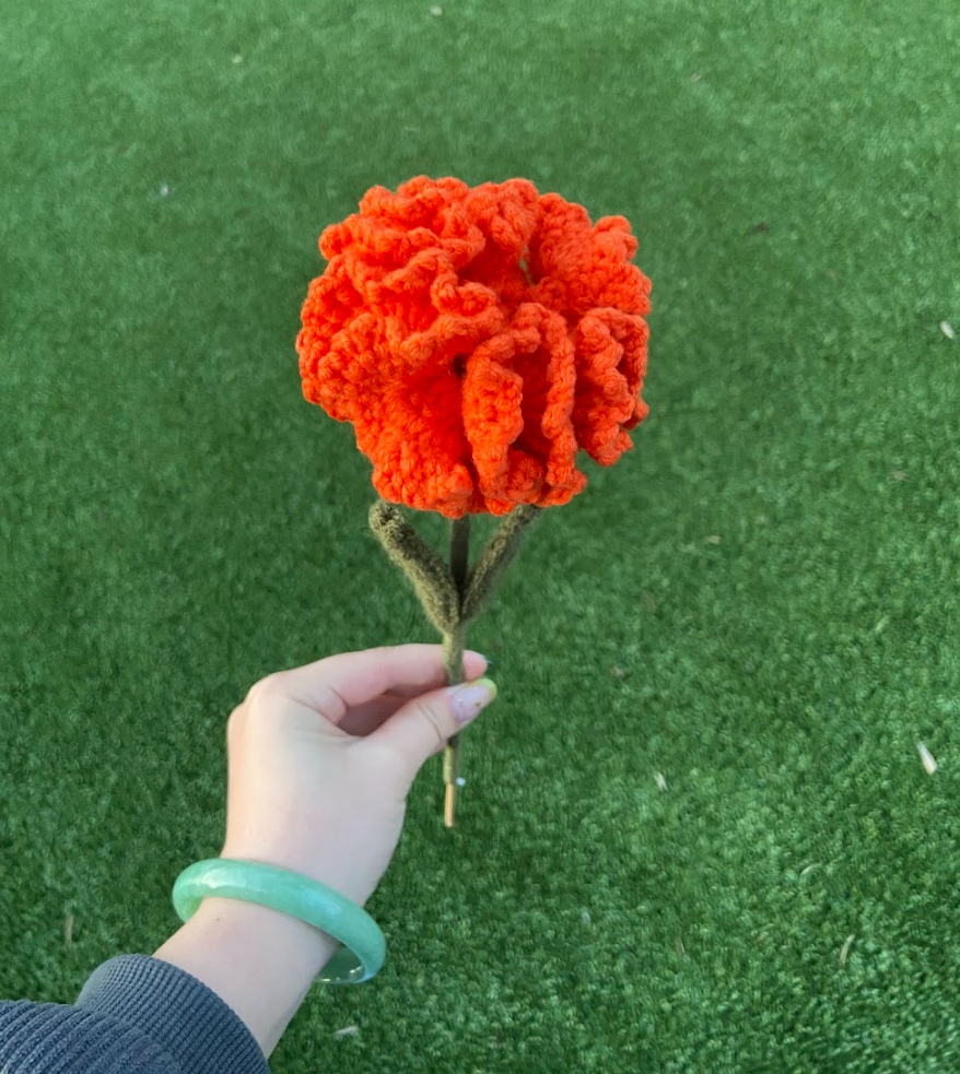 Crochet Carnations