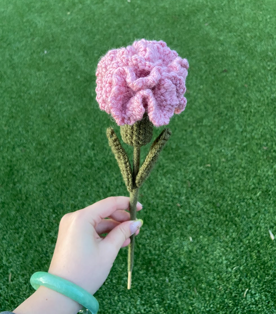 Crochet Carnations