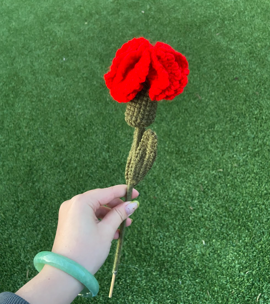 Crochet Carnations