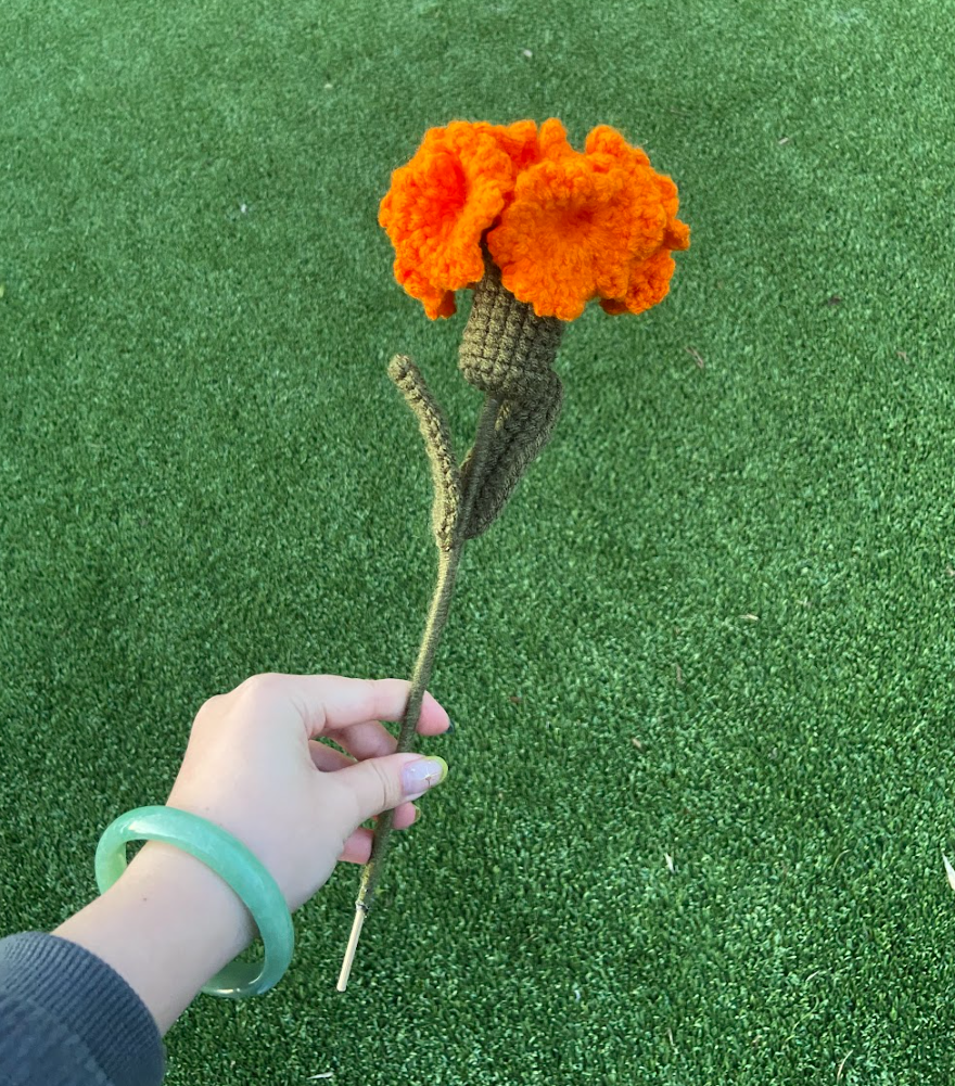 Crochet Carnations